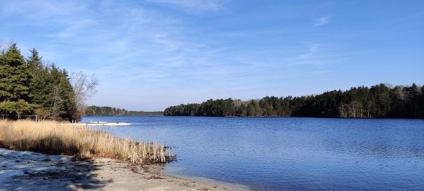 A large body of water known as Wilson Lake.