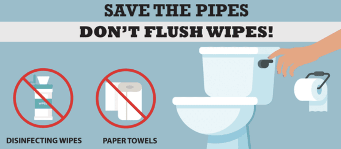 Screen Shot 2021-03-08 at 11.07.34 AM