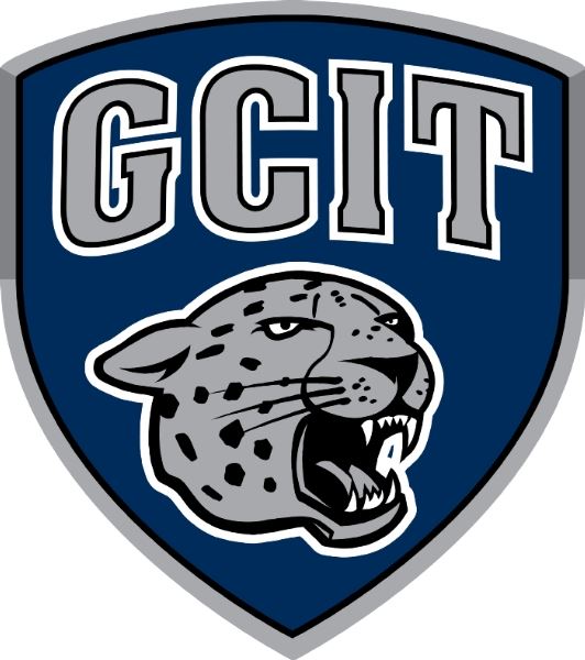 cheeth logo final shield