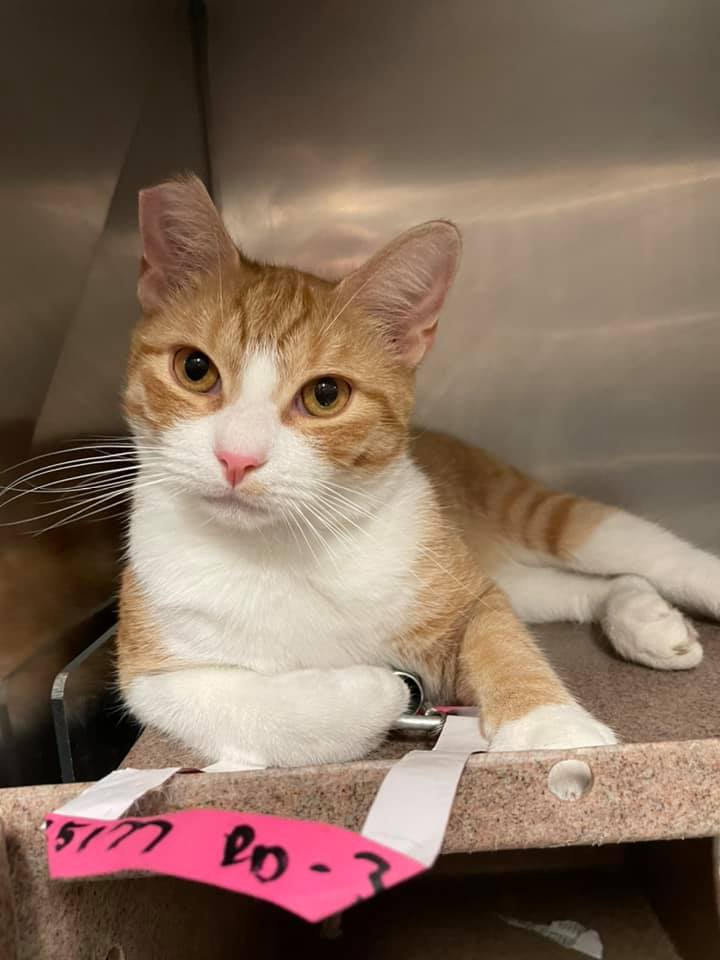 211942089_4220724784687568_9131749818015536192_n