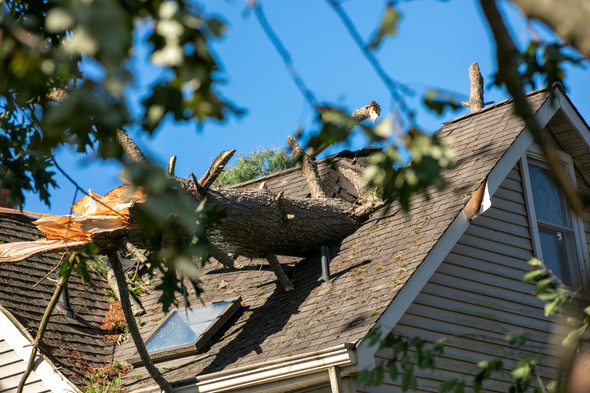 240153324_4230388853682999_4379359982805580663_n