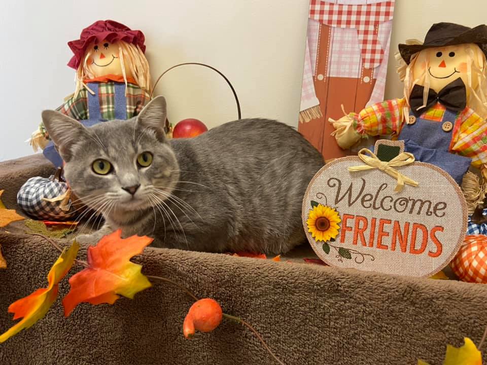 241799028_10222600211571226_4516009593739819038_n