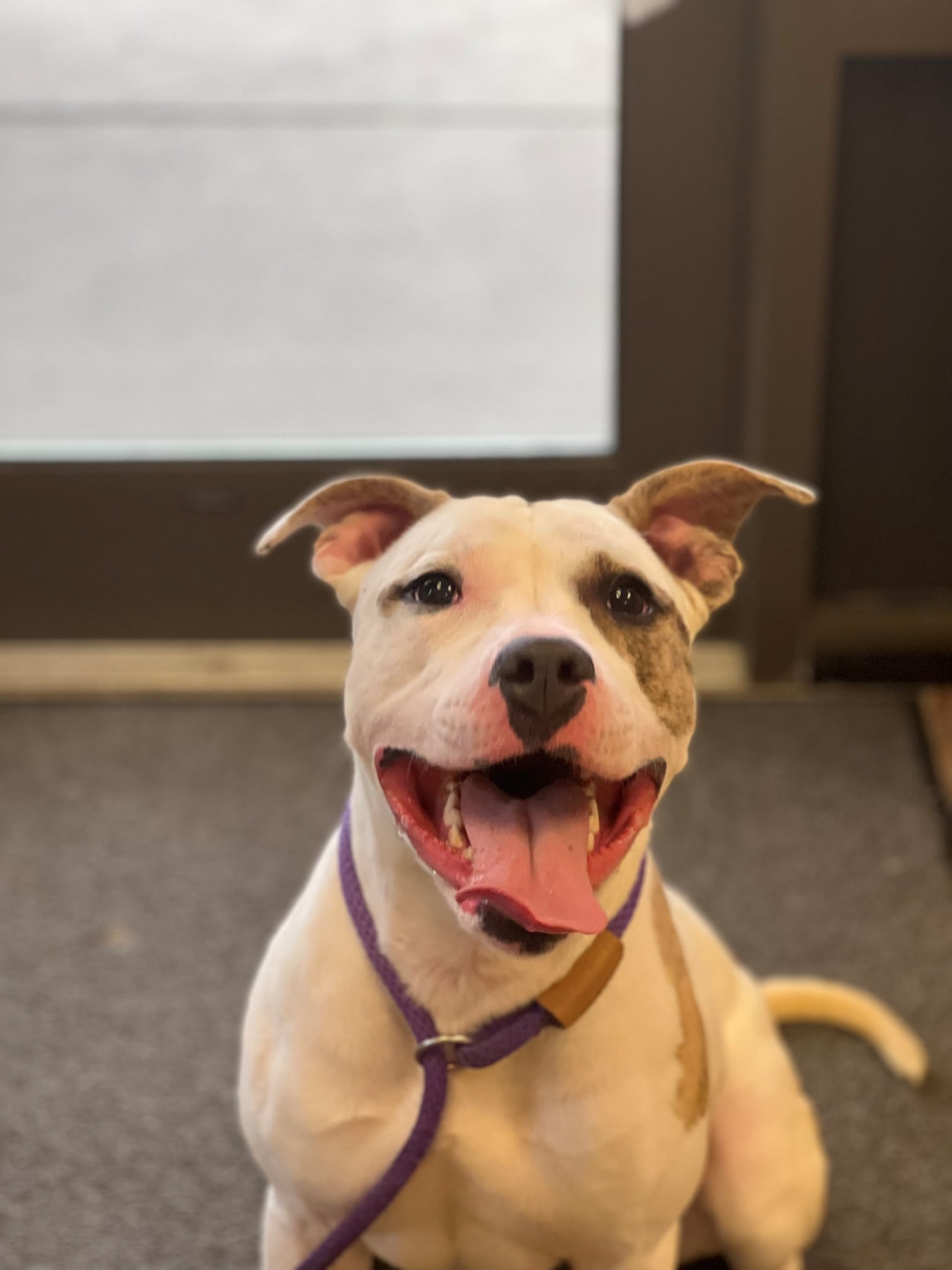 252291516_4587429238017119_20196977952872244_n