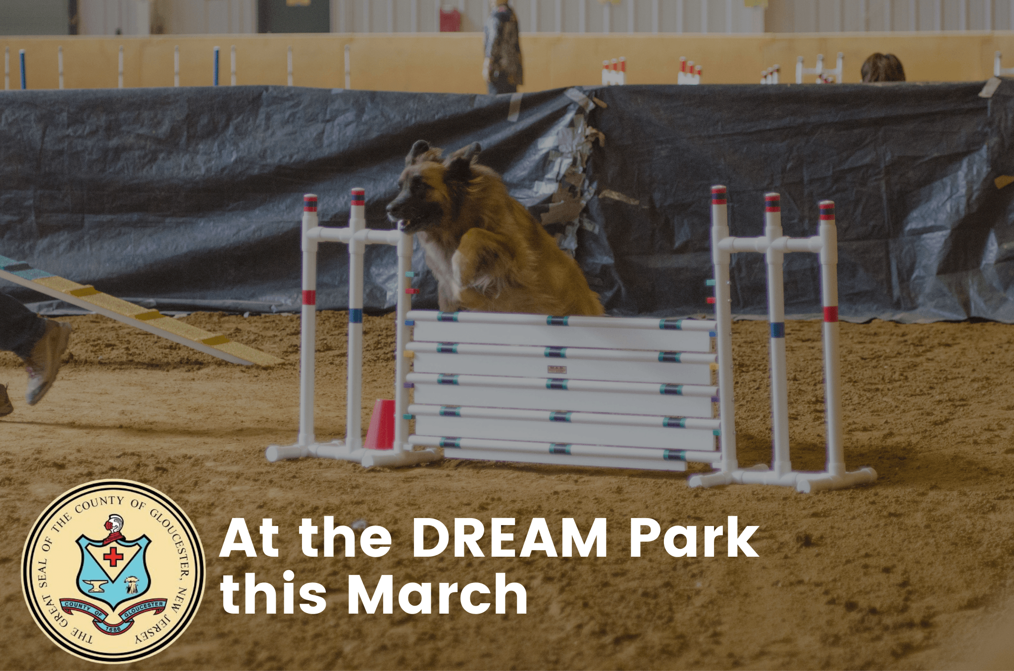 At the DREAM Park this March