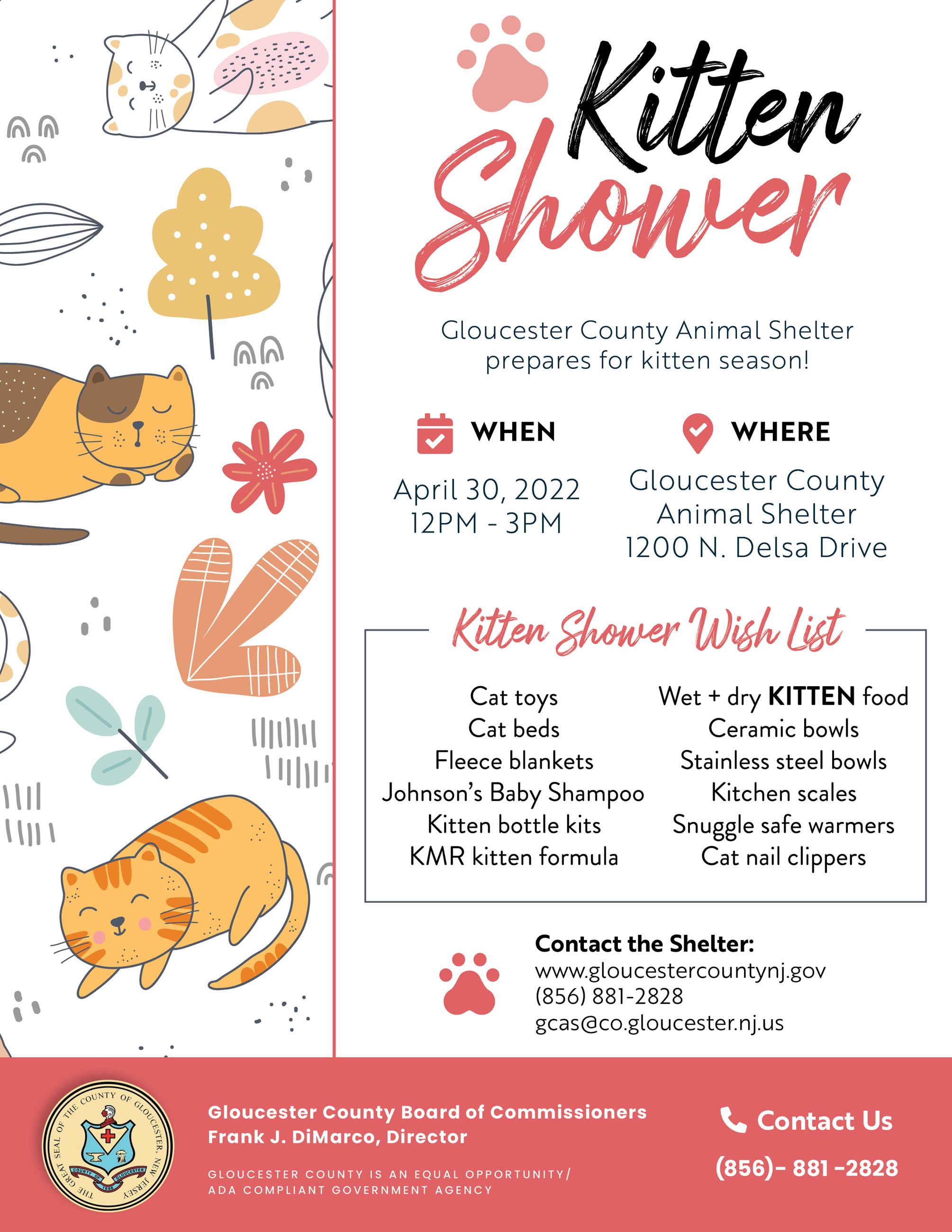 gc-kitten-shower