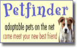Pet Finder