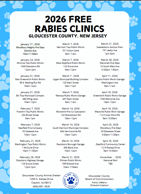 Screenshot 2025-12-17 114004