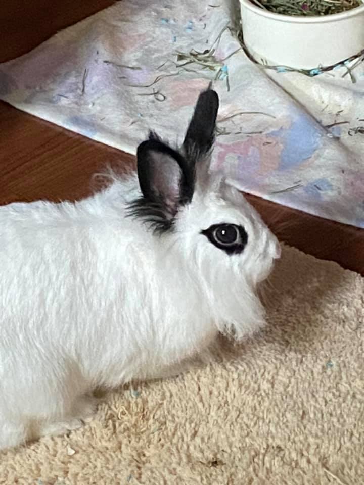 223863075_4281958941897485_2225217673528234937_n