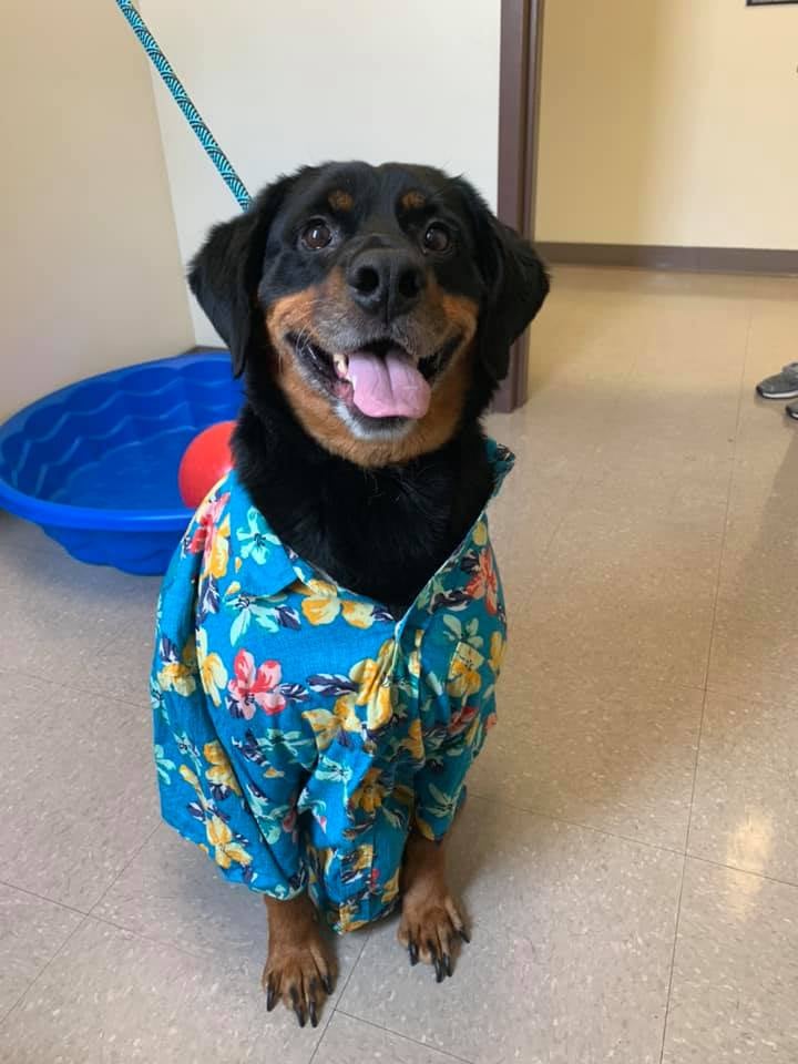 219028136_4261327627293950_1086215340058342717_n