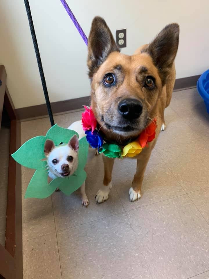 220656322_4261323893960990_5348801123025389528_n