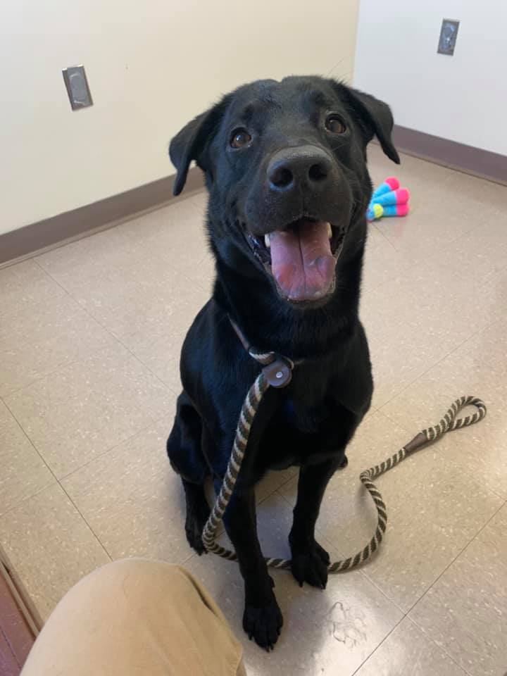 243006221_10222695048582092_8452309469283532870_n