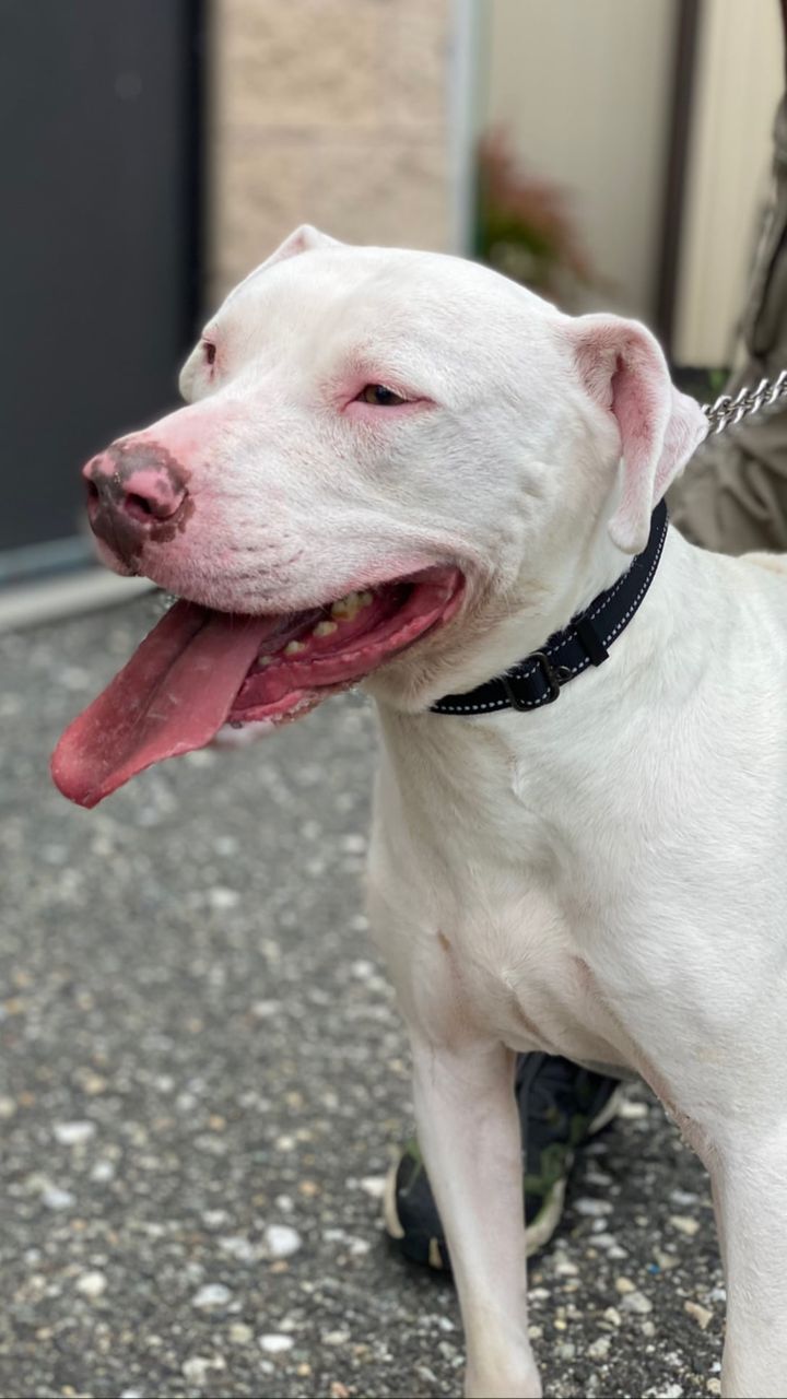 198614365_4145947322165315_9050804017882153400_n