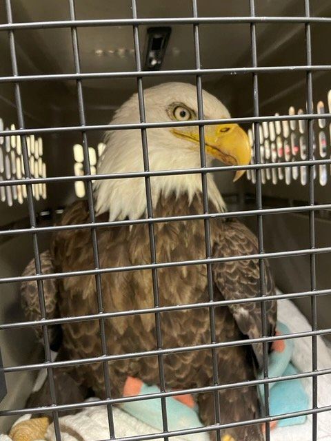 268172582_4716247461801962_1842374309671218898_n