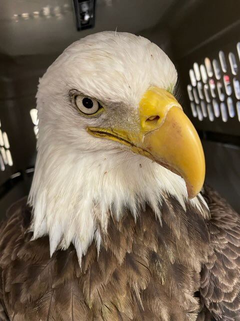 268108221_4716246001802108_8423639510285698954_n