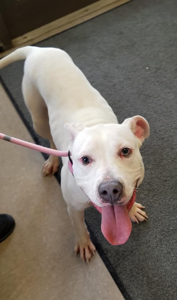 269265449_4802784926481548_7171660791229591451_n