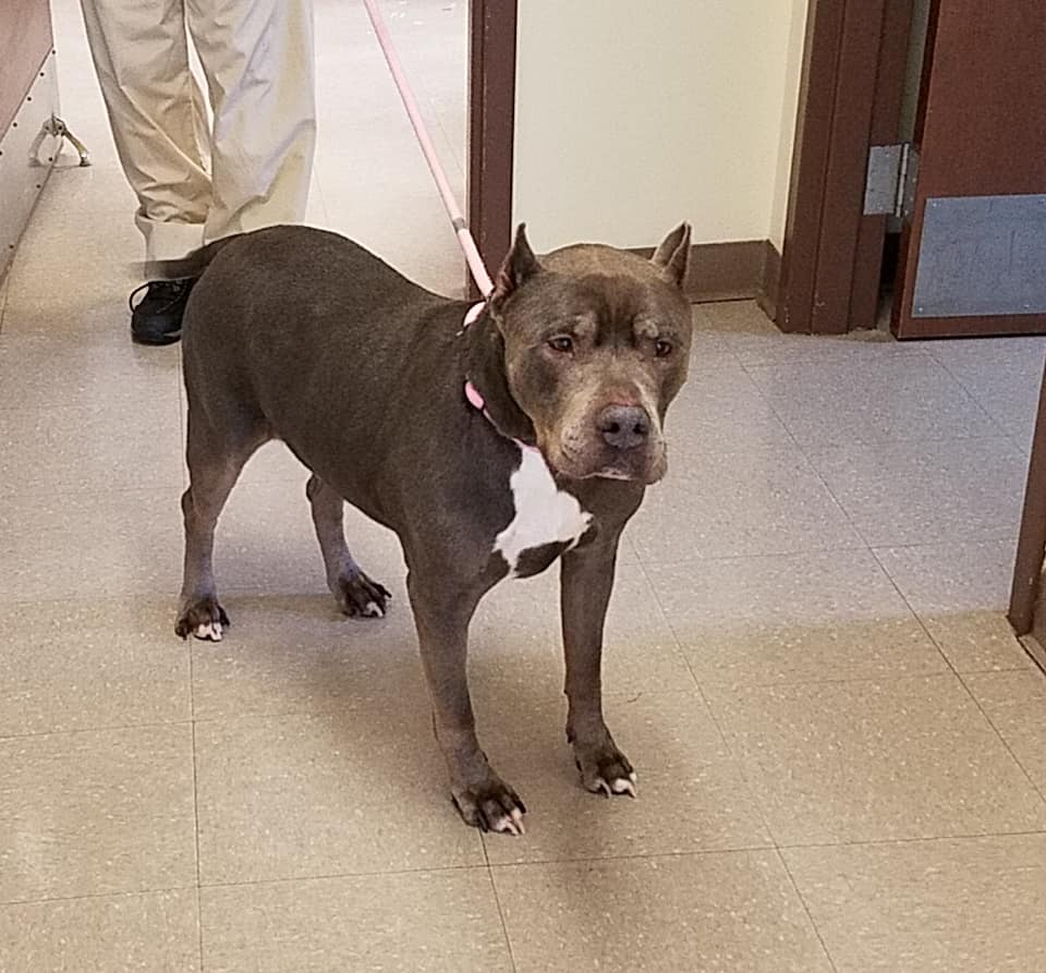 268636866_4802750763151631_4627424616491089461_n-2