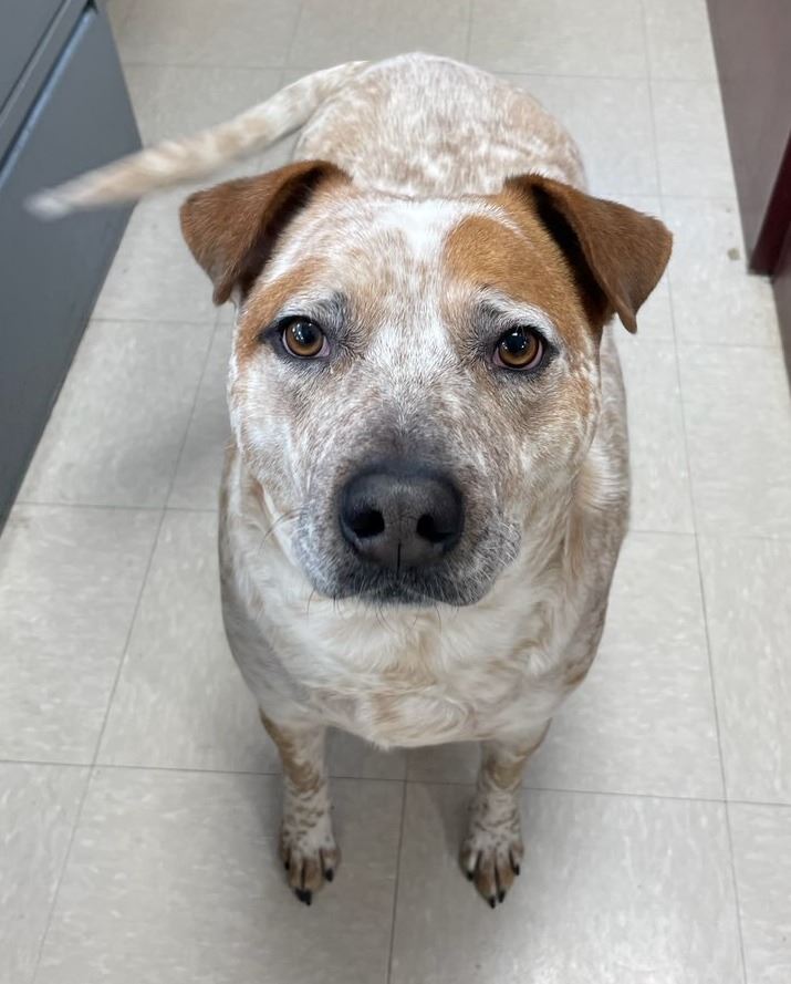 272899618_4899087243517982_5615215173028046128_n