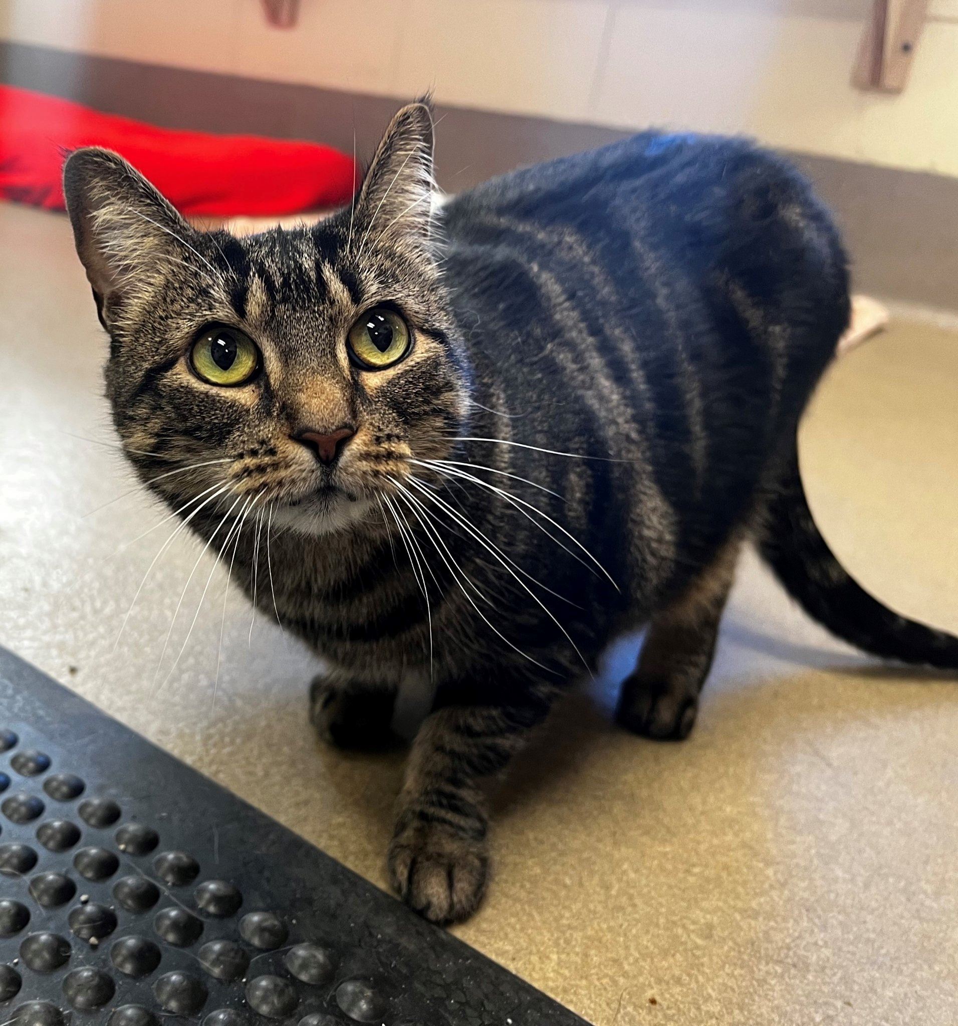 272883402_4891146067645433_482047980817238468_n