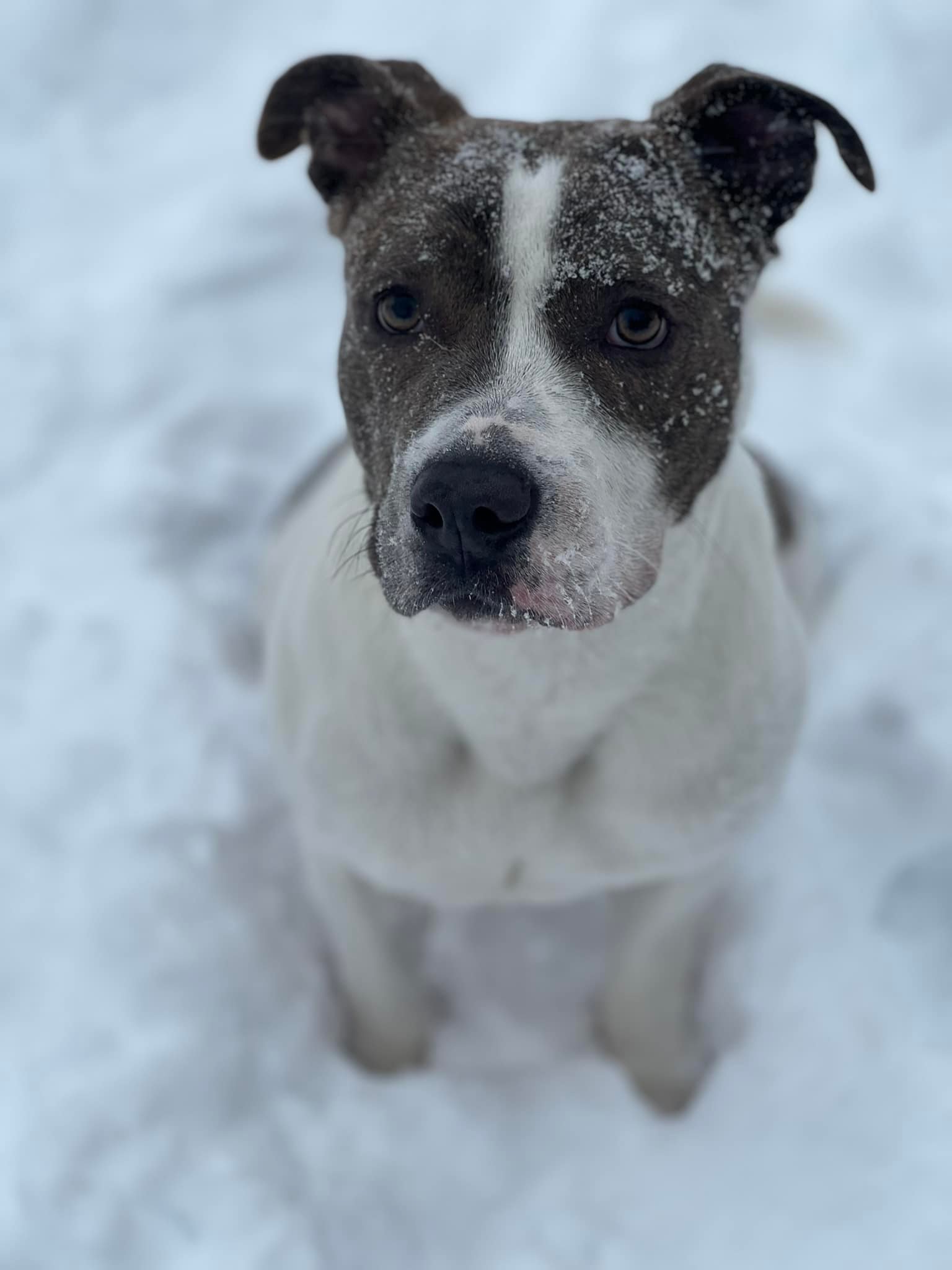 272023338_4898768286883211_3853986355679232923_n