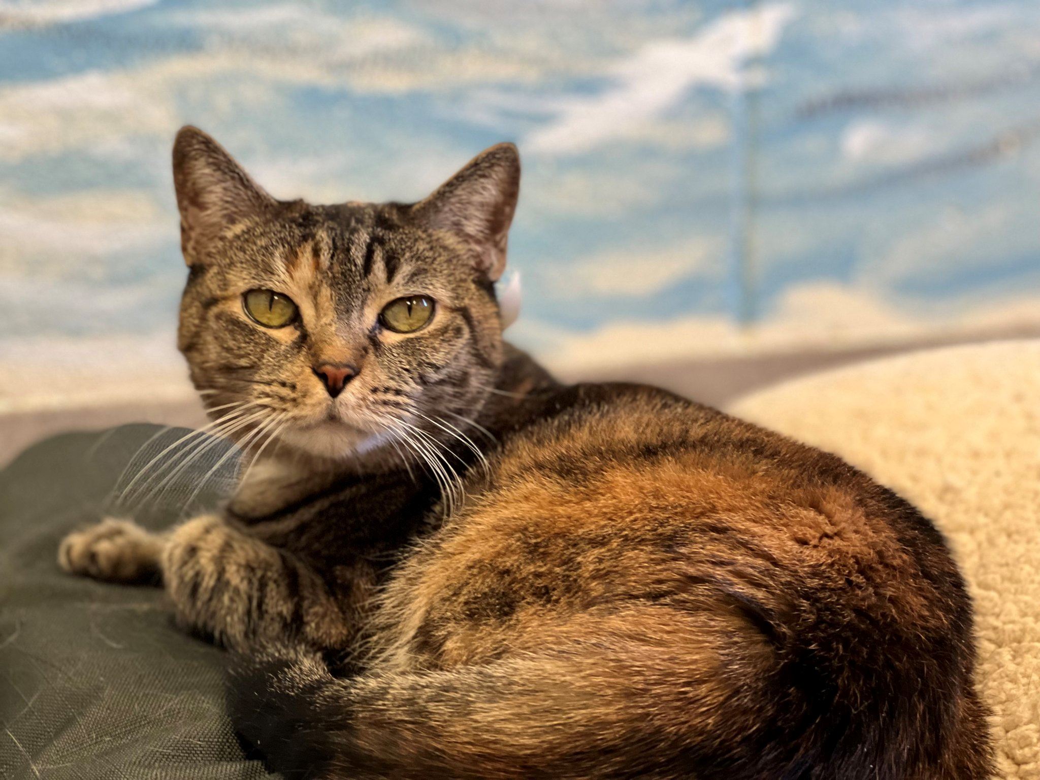 272792653_4891182170975156_3502127888307002003_n