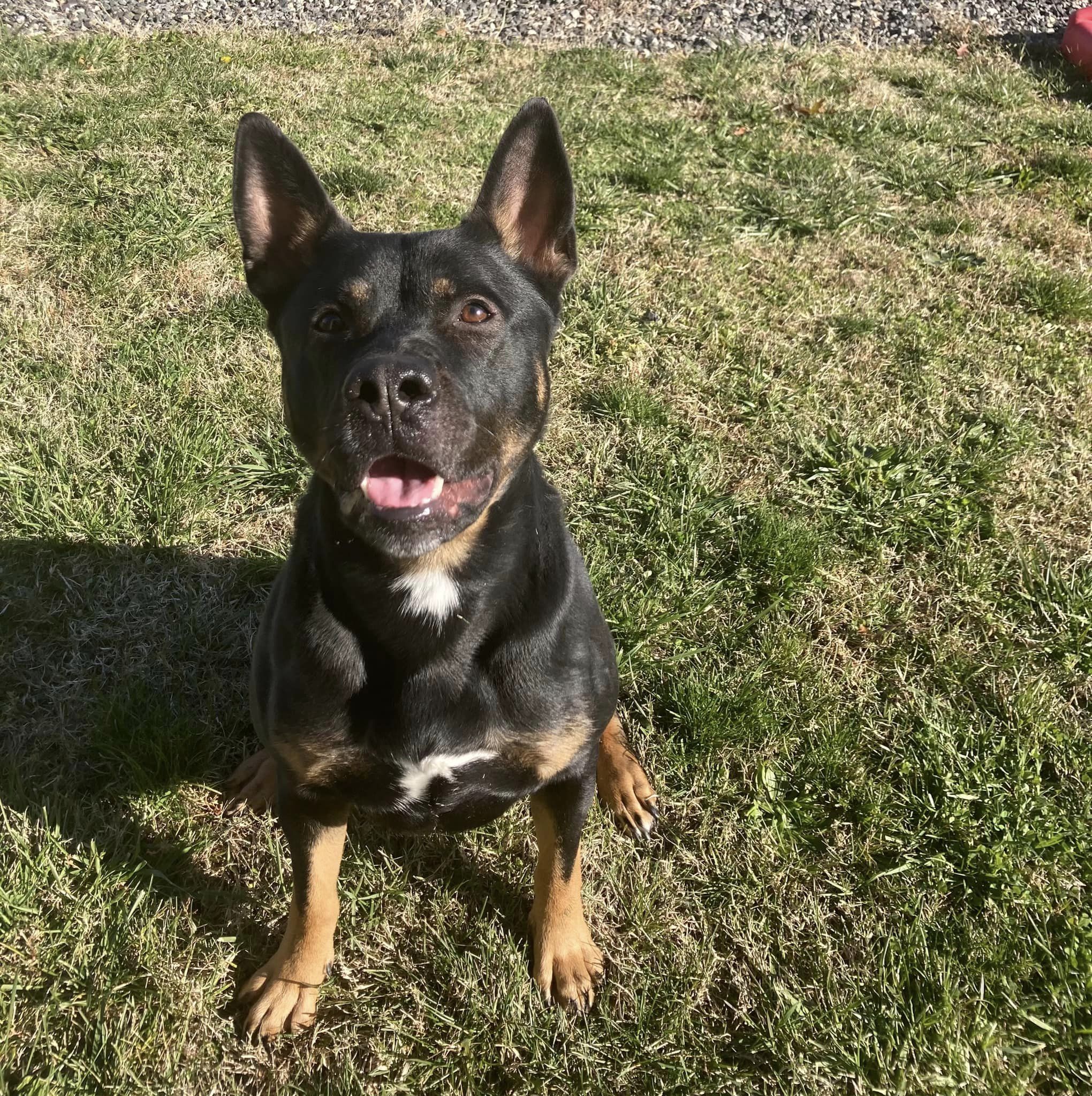 316824171_434025372263868_4346565025780235674_n-2